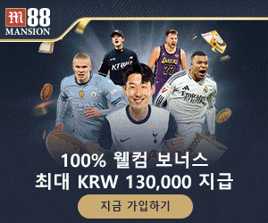 안전한 사이트 선택을 위한 결정 과정을 단계별로 보여주는 플로우 차트 이미지